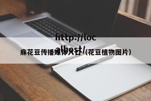 庥花豆传播媒体入口(花豆植物图片)